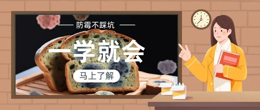 高温高湿易长霉？双乙酸钠救场！食品 + 饲料防霉全攻略